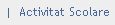 |  Activitat Scolare